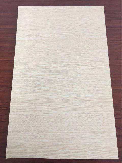 גיליון ABS + PVC קל ליצירת תרמו